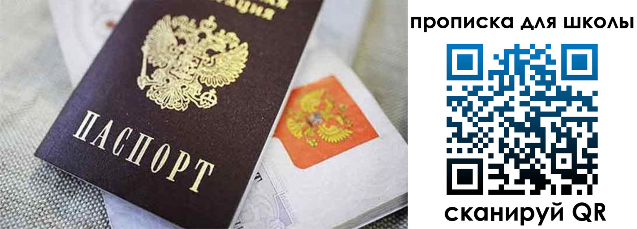 прописка штамп в Вязьме
