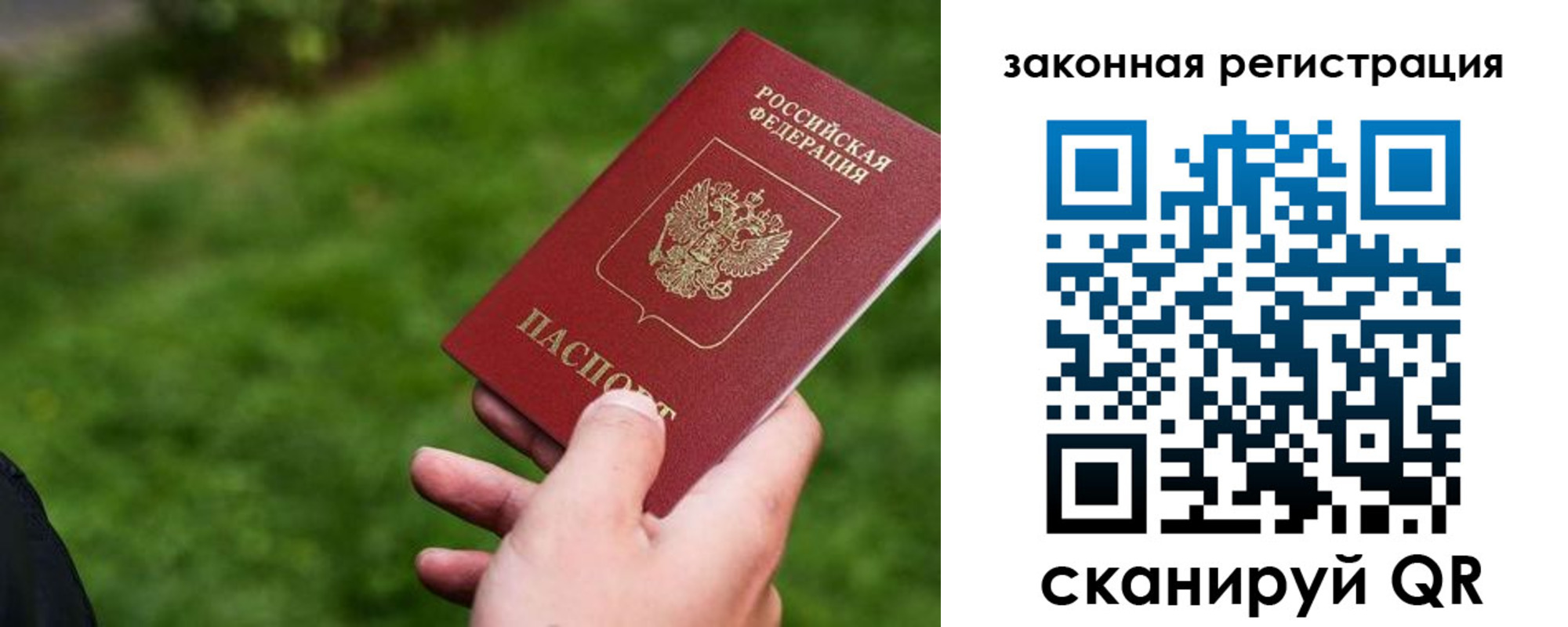 прописка законно в Вязьме